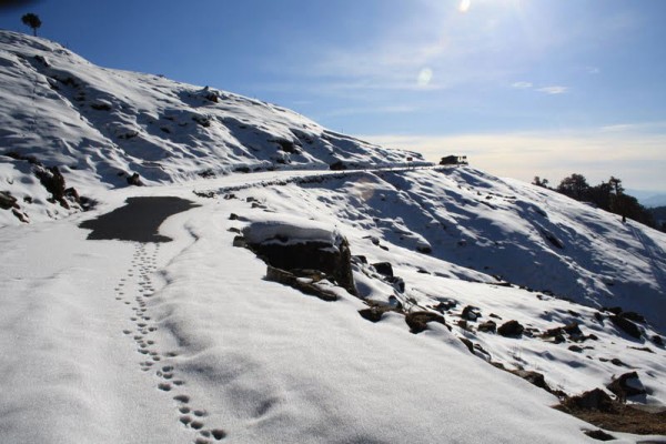 Nainital Winter Carnival