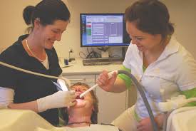 What Is The Importance Of Dentists In Society?
