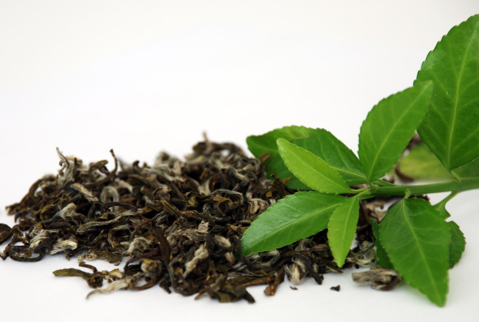 tea-leafs