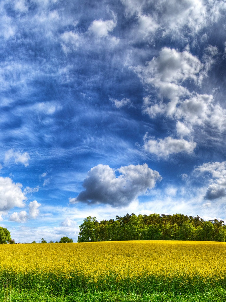 Cloudy_Sky_Over_The_Yellow_Field_HDR