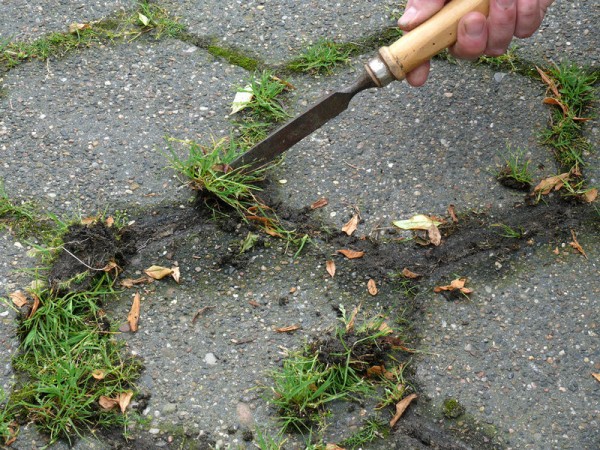 How To Deal With Mold And Weed Growth On Pavement