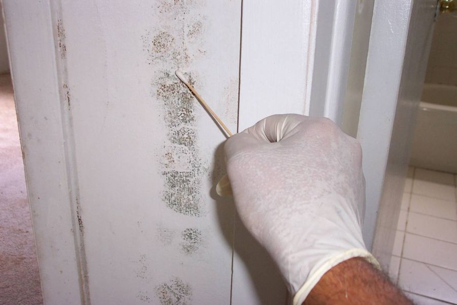 Detect Mould In Your Home