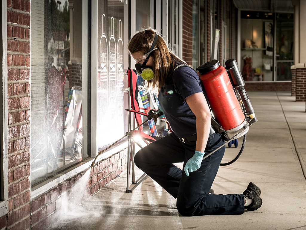 Services Residential Pest Control Companies Should Offer