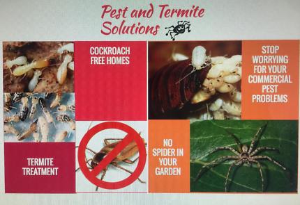 Pest Control in Newtown