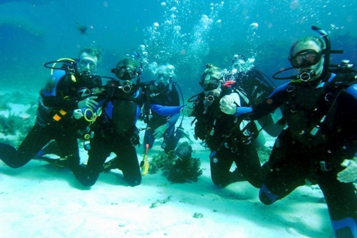 scuba diving classes